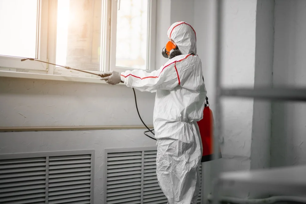 Professional mold remediation services in Moline, MI